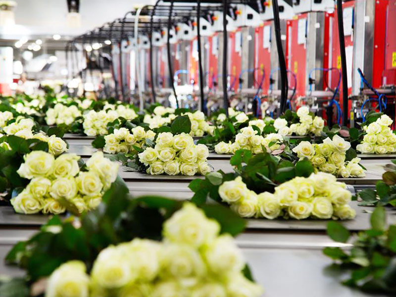 Wie wint de Themaprijs 'Samenwerking & Samenhang'? 