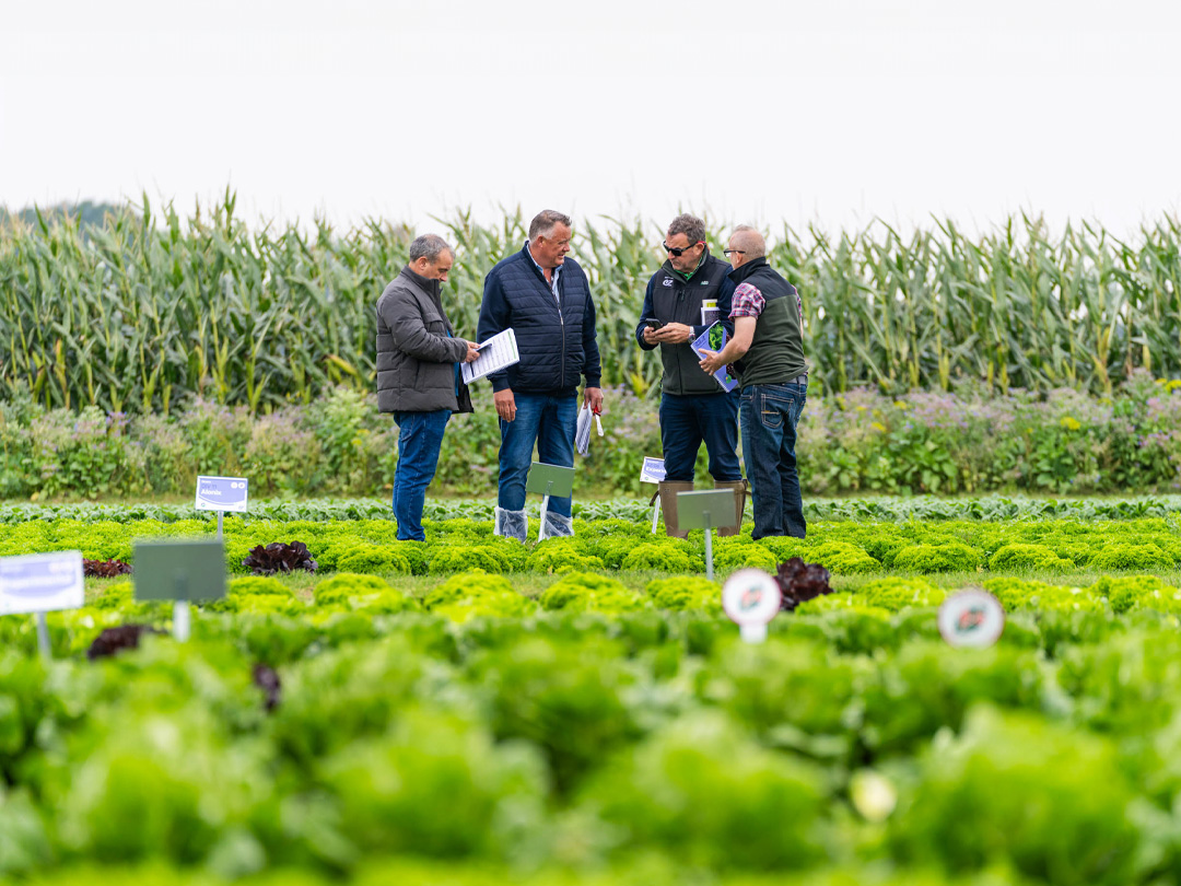 groentetelers doen meer kennis vergaren over recente markttrends en -ontwikkelingen en om de allernieuwste rassen tijdens de discovery field days