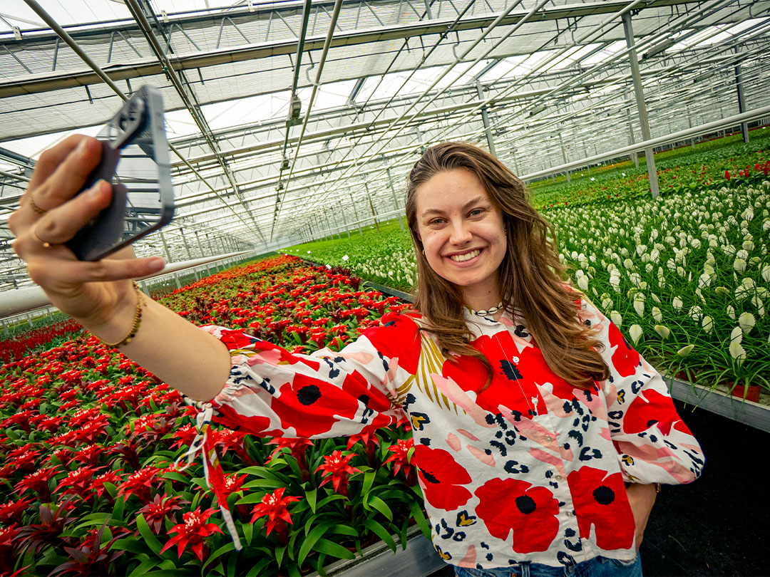 Wat hebben tropische planten, datagedreven teelt én aardbeienplanten met elkaar gemeen?
