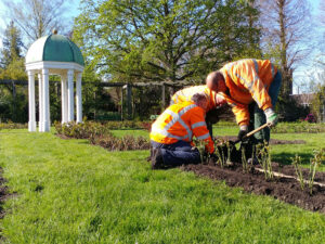 Veredelaars en vertegenwoordigers van breeders kunnen zich tot maandag 27 oktober inschrijven voor de nieuwe ronde Excellence Roses keuringen!