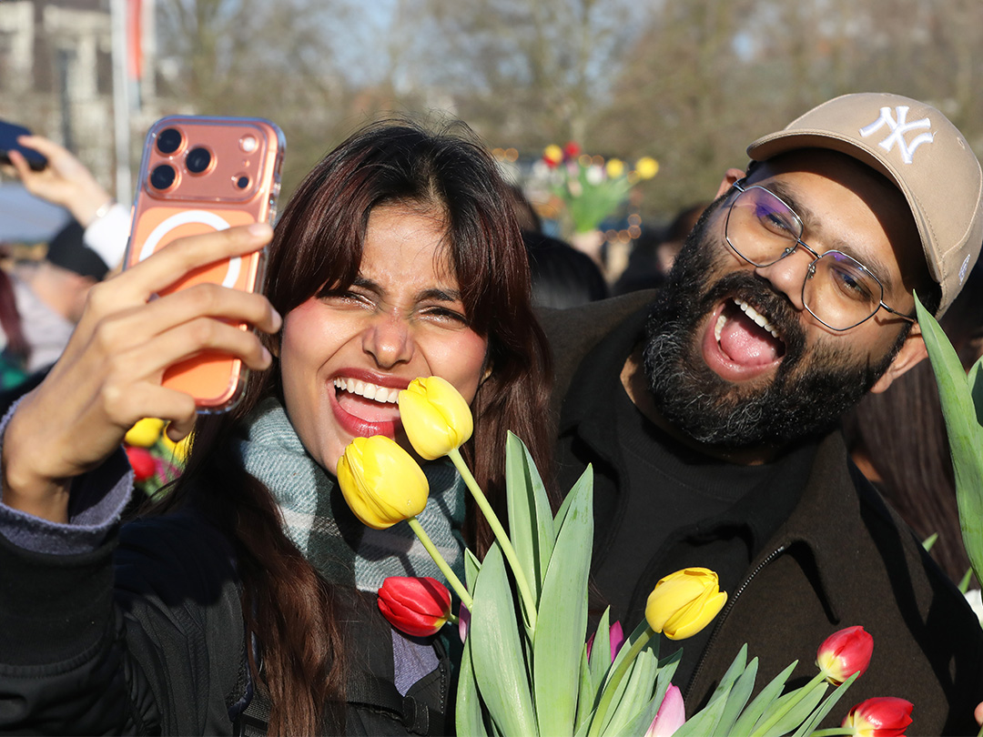 Nederland viert de start van nieuw snijtulpenseizoen!
