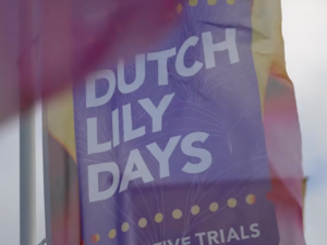 Leliesector toont innovatiekracht tijdens Dutch Lily Days 2026